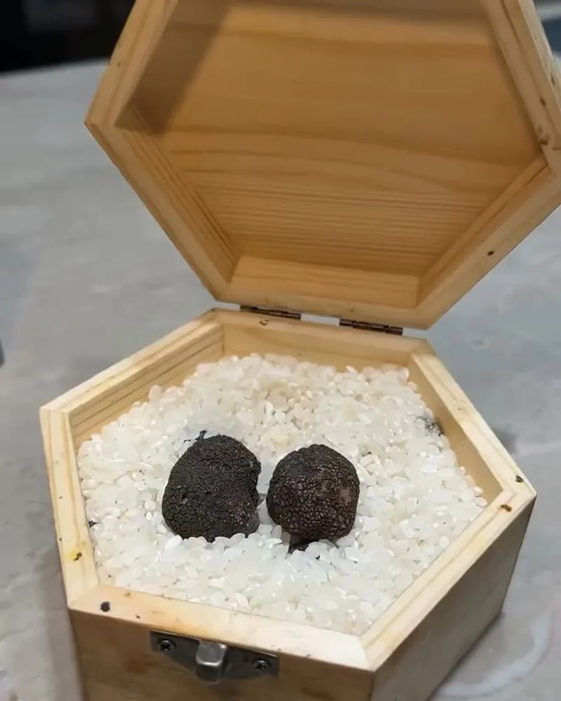 樂軒十二牛庵