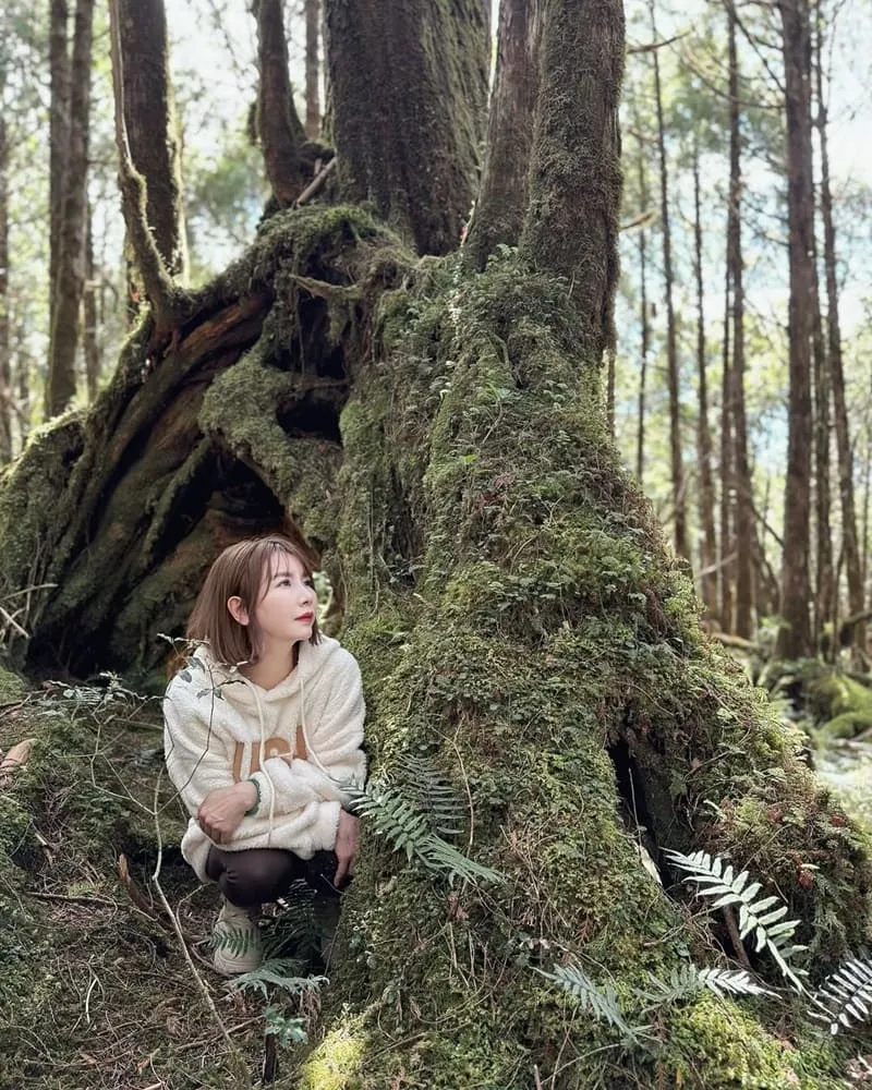 太平山國家森林遊樂區