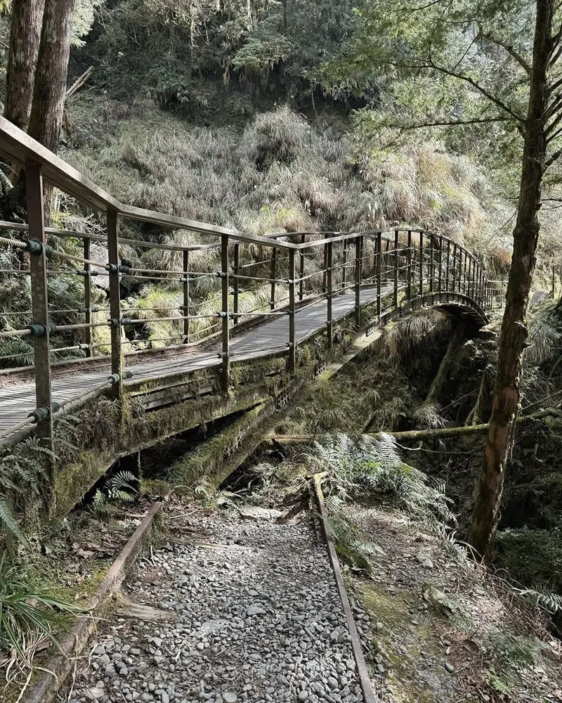 太平山國家森林遊樂區
