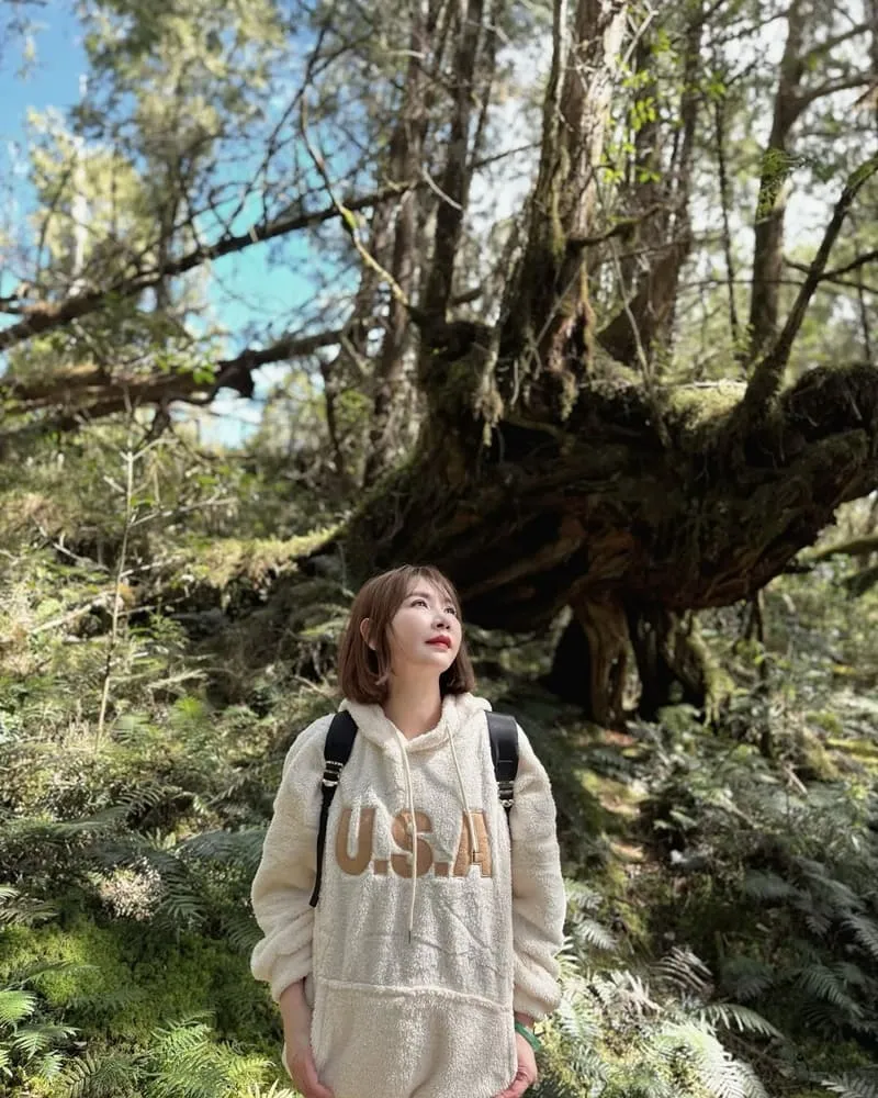 太平山國家森林遊樂區
