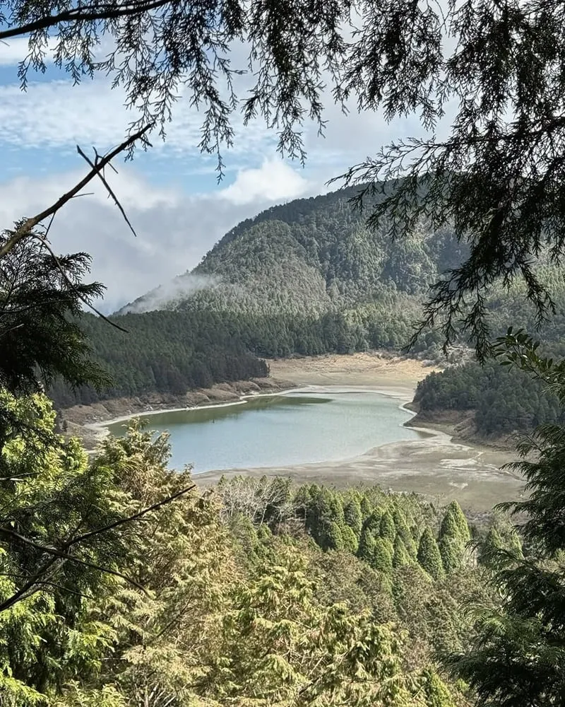 太平山國家森林遊樂區
