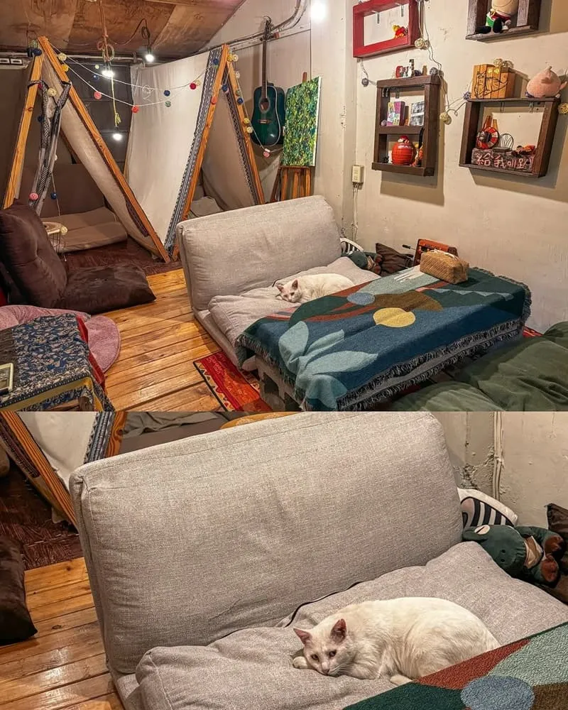 飛行樹屋咖啡