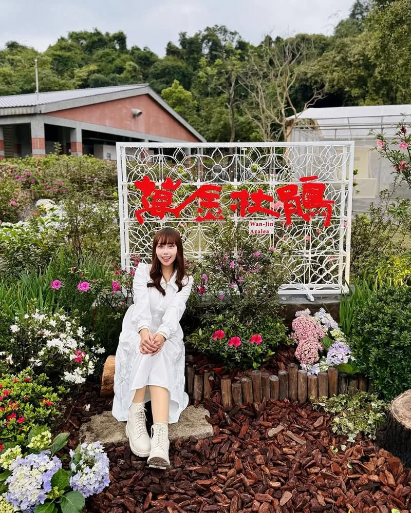 2025萬金杜鵑花展