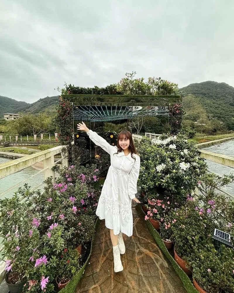 2025萬金杜鵑花展