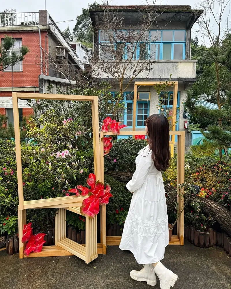 2025萬金杜鵑花展