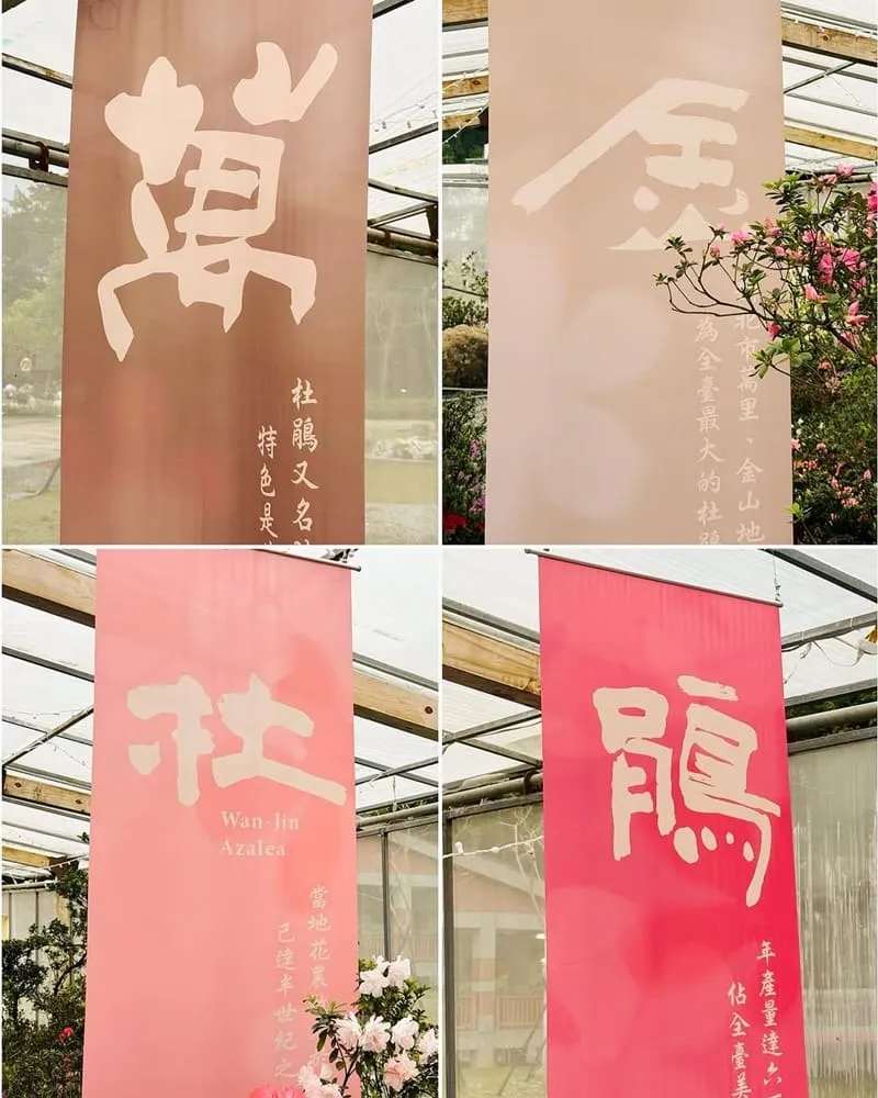 2025萬金杜鵑花展