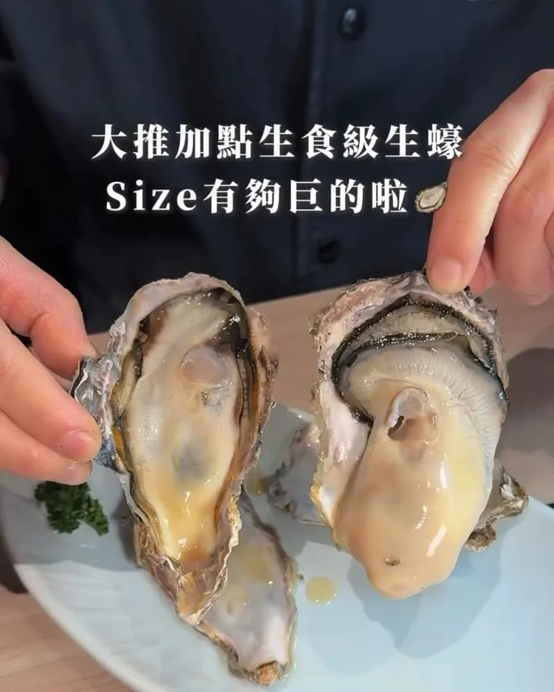 雞湯大叔桃園春日店