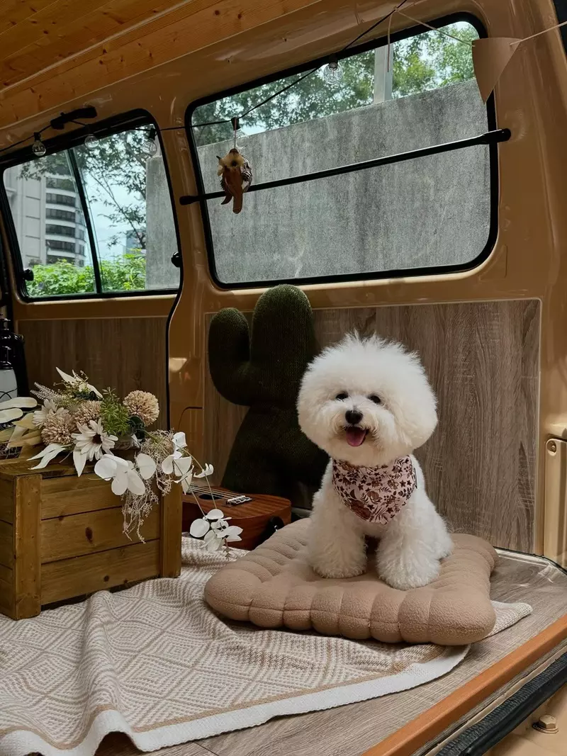 快炒樂室