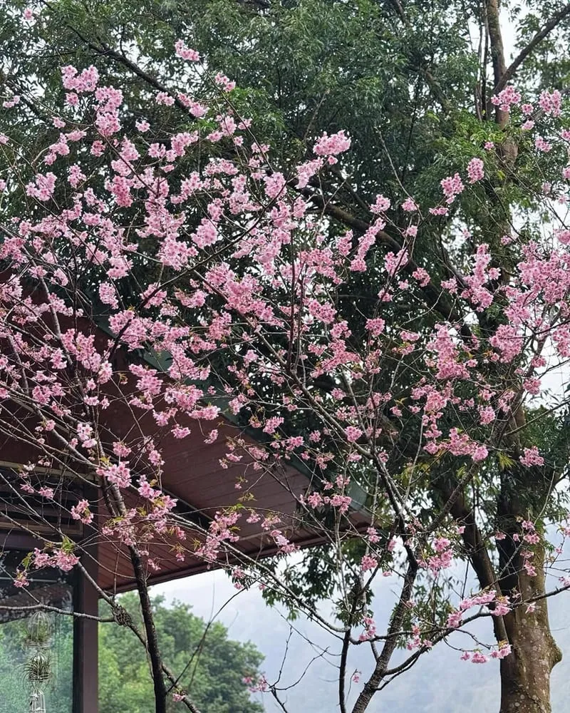 比度咖啡屋