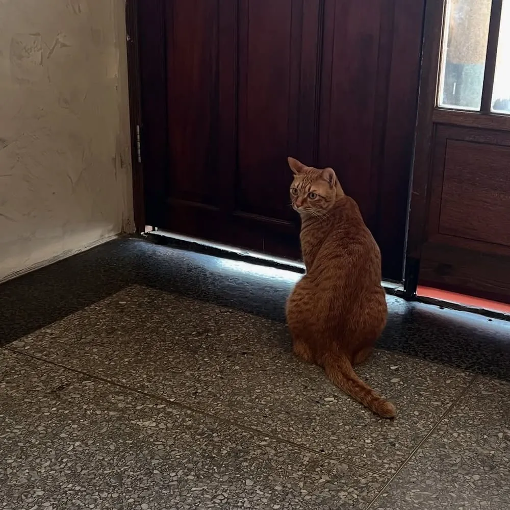 如常。所在