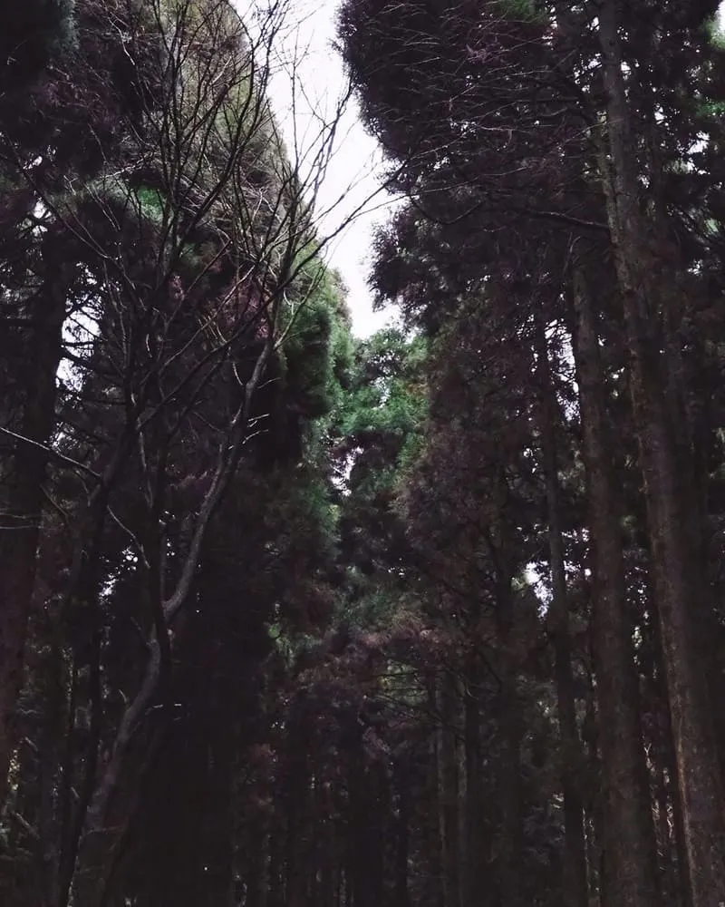 上色見熊野座神社