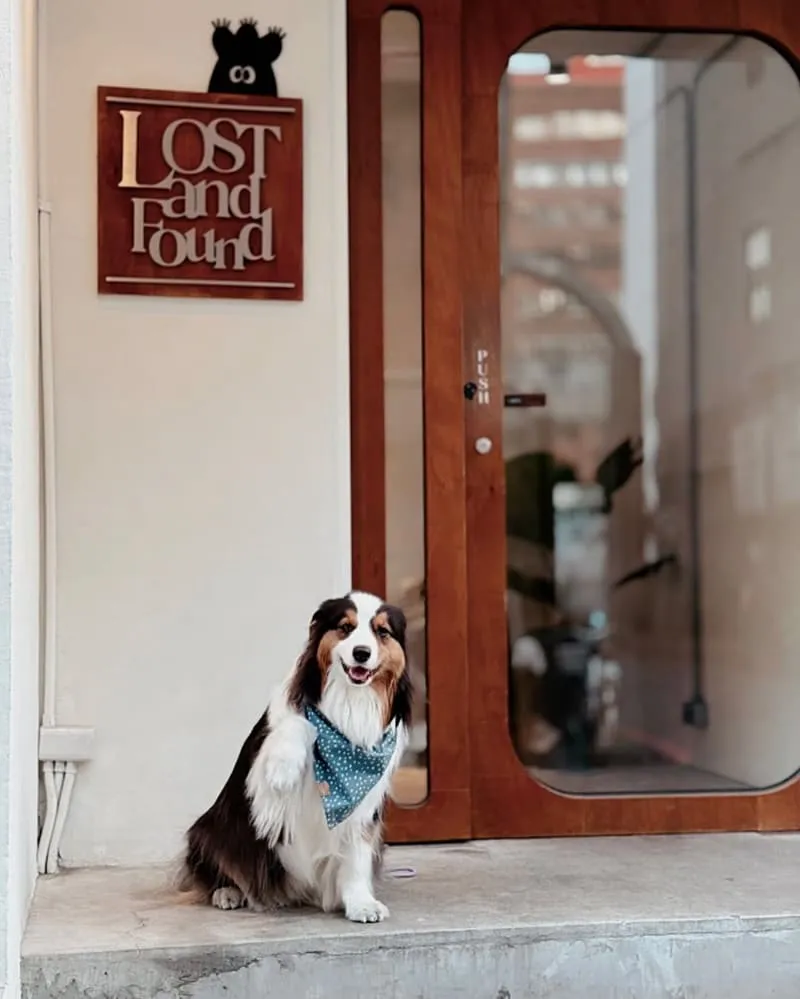 LOST and Found