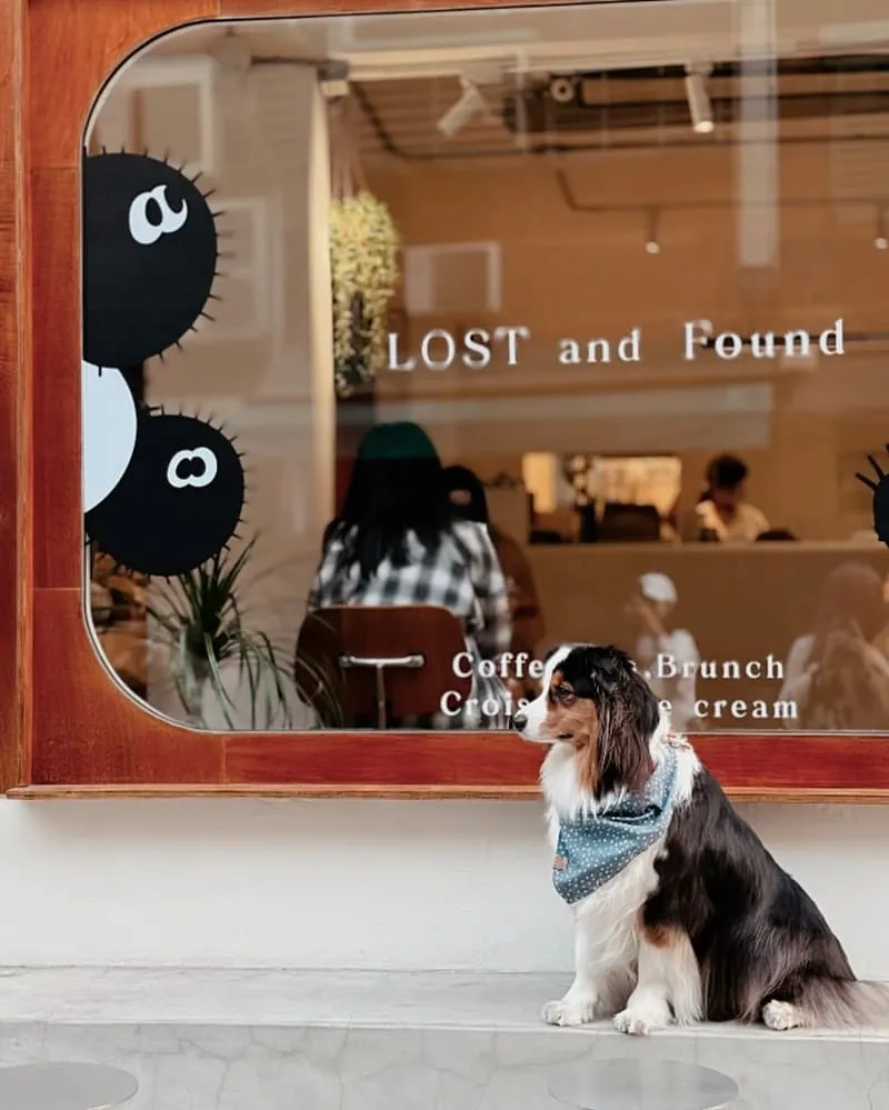 LOST and Found