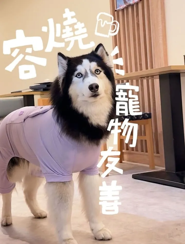 容燒居酒屋文心南七店