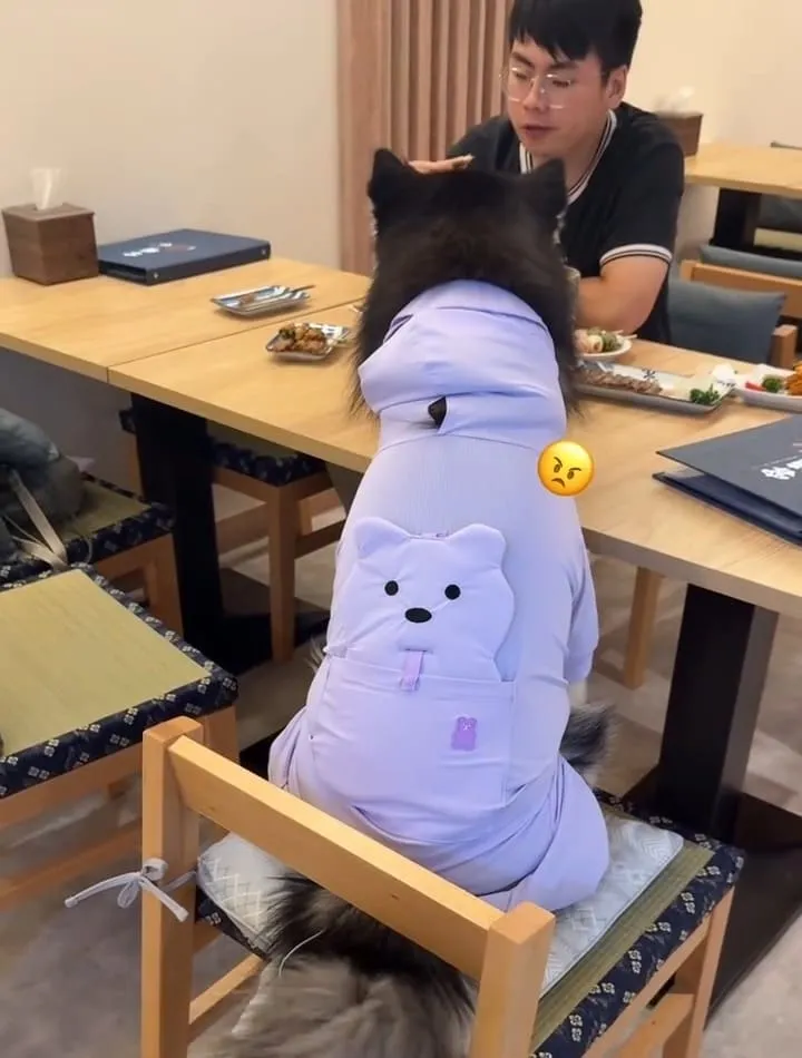 容燒居酒屋文心南七店