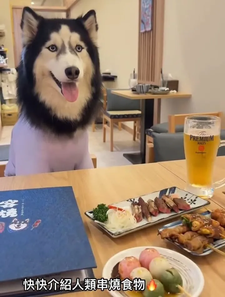 容燒居酒屋文心南七店