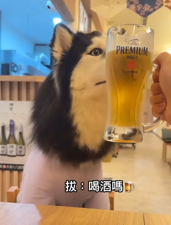 容燒居酒屋文心南七店