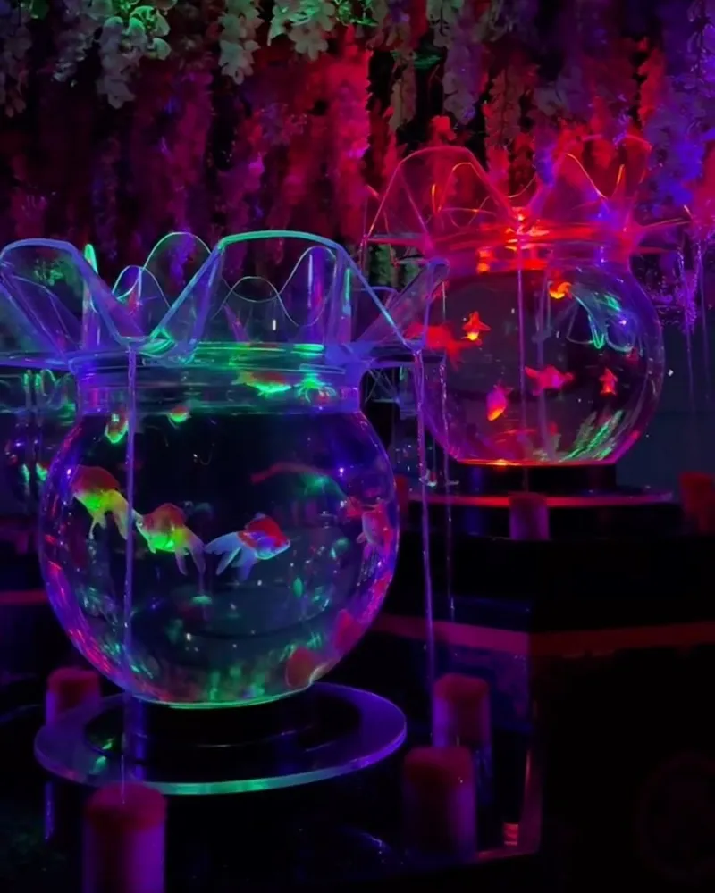 Art Aquarium 金魚藝術展