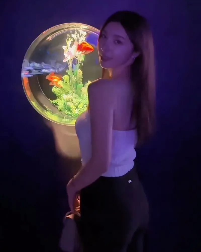 Art Aquarium 金魚藝術展