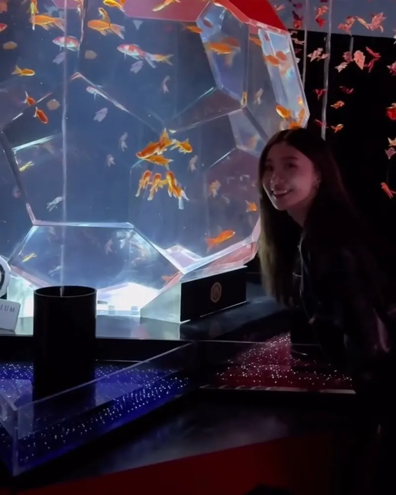 Art Aquarium 金魚藝術展