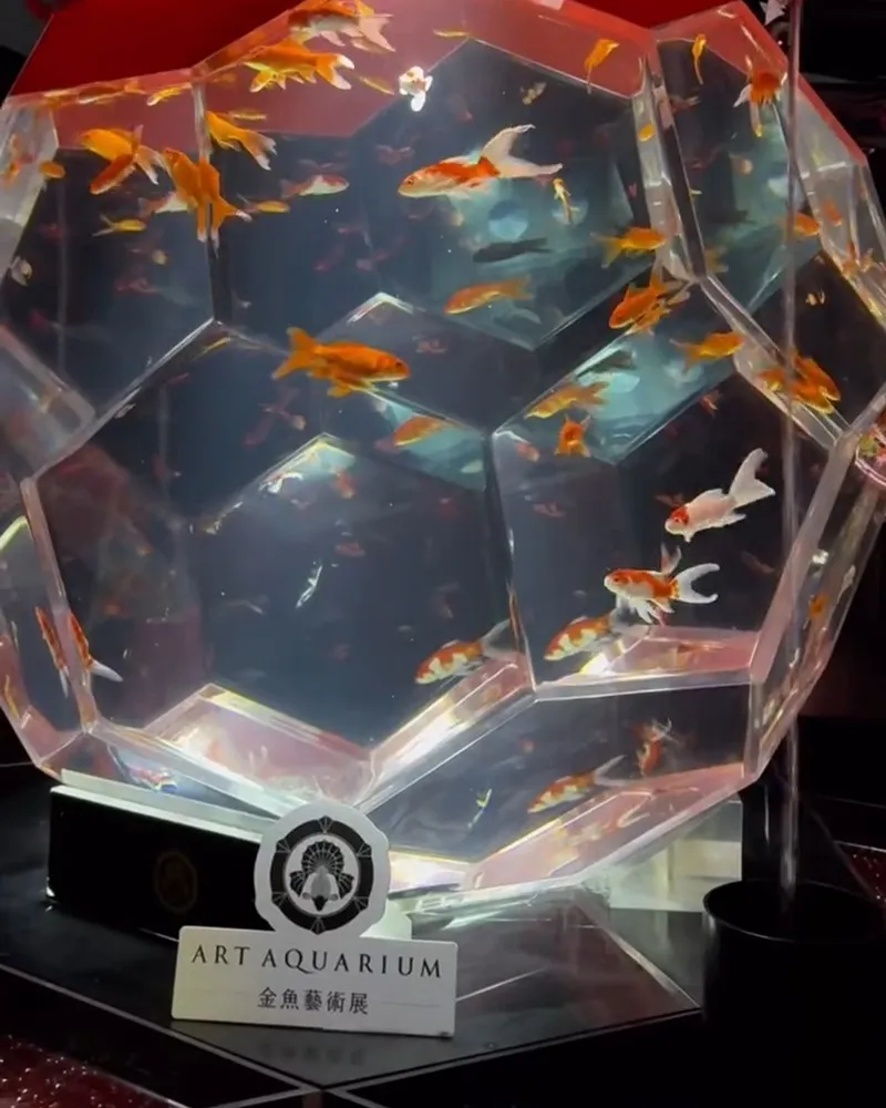 Art Aquarium 金魚藝術展
