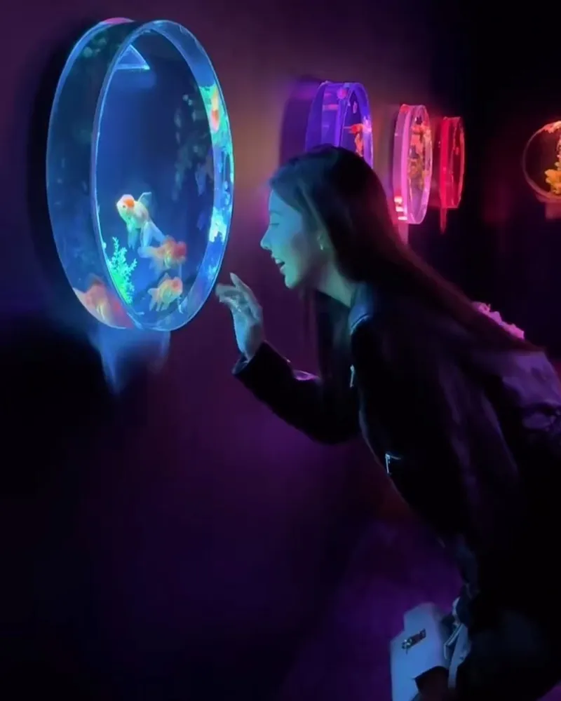 Art Aquarium 金魚藝術展