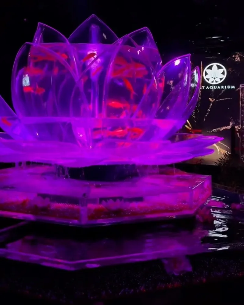 Art Aquarium 金魚藝術展