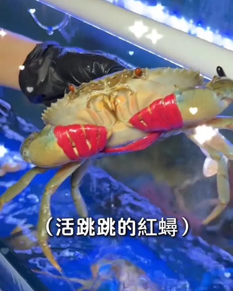 山上走走日式鍋物