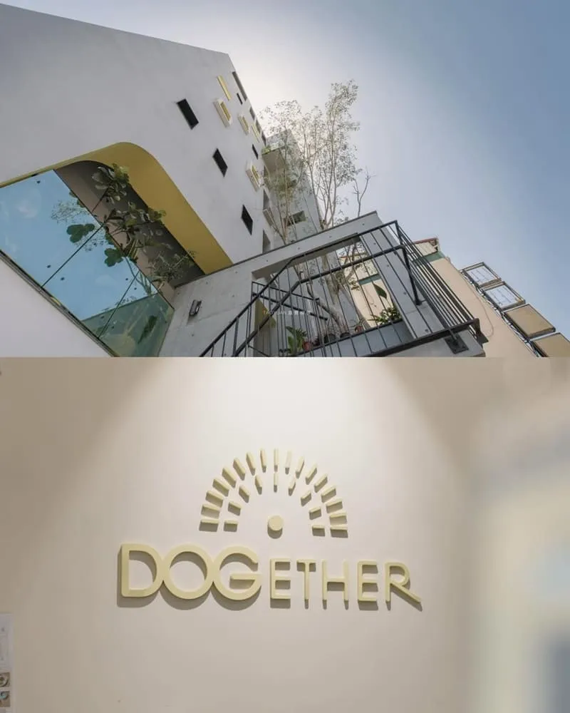 高雄多野樂旅館 Dogether Hotel