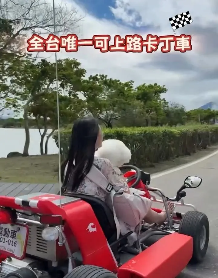 池上嗨咖微型電動車