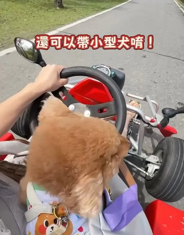池上嗨咖微型電動車