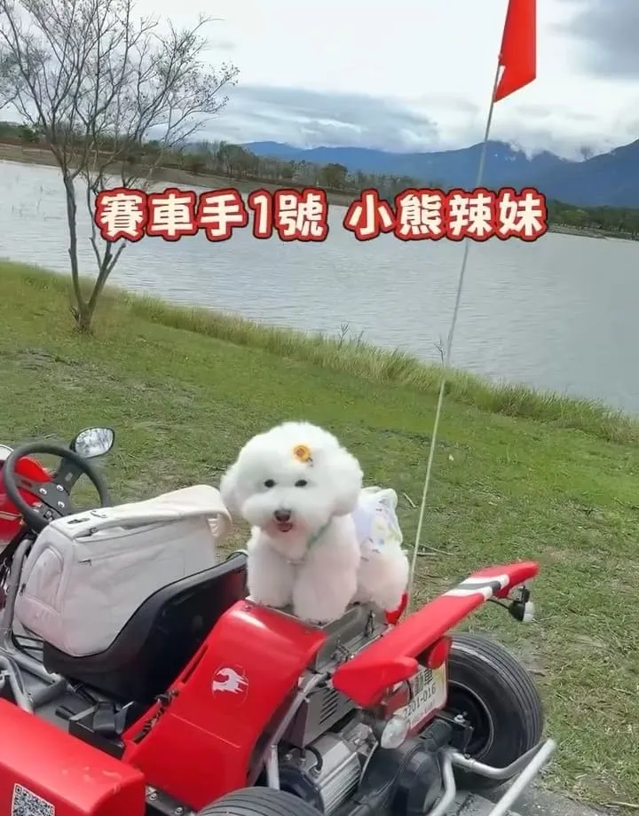 池上嗨咖微型電動車