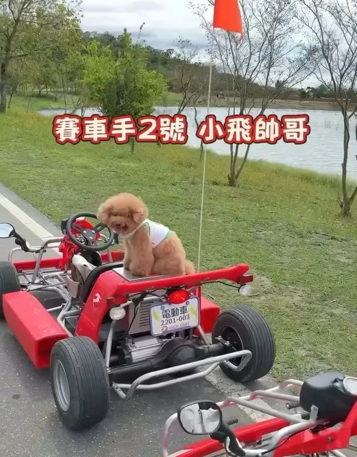 池上嗨咖微型電動車