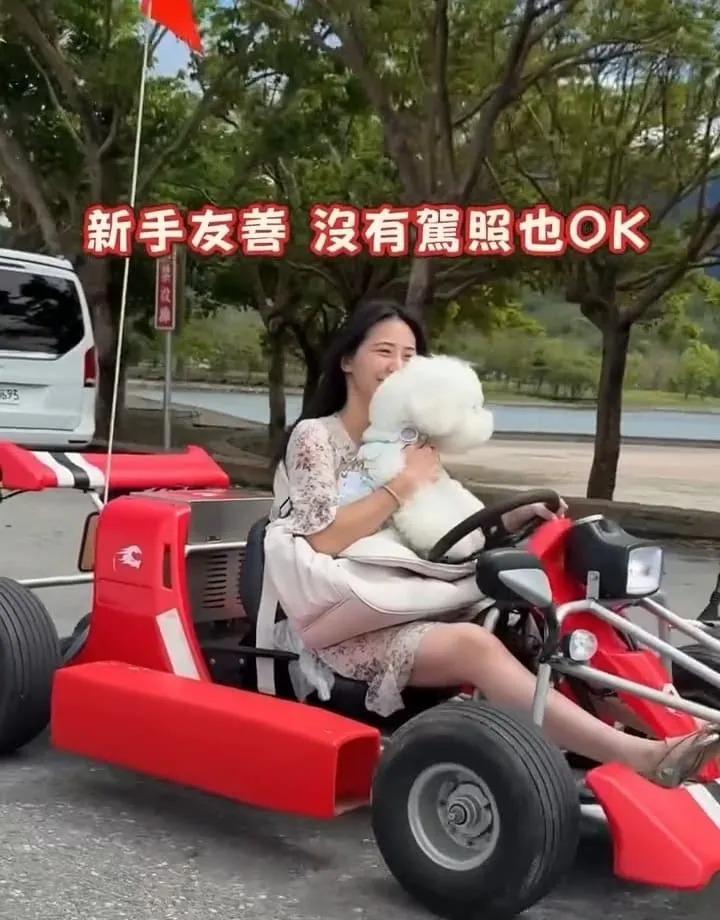 池上嗨咖微型電動車