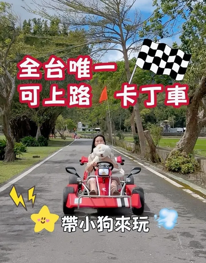 池上嗨咖微型電動車