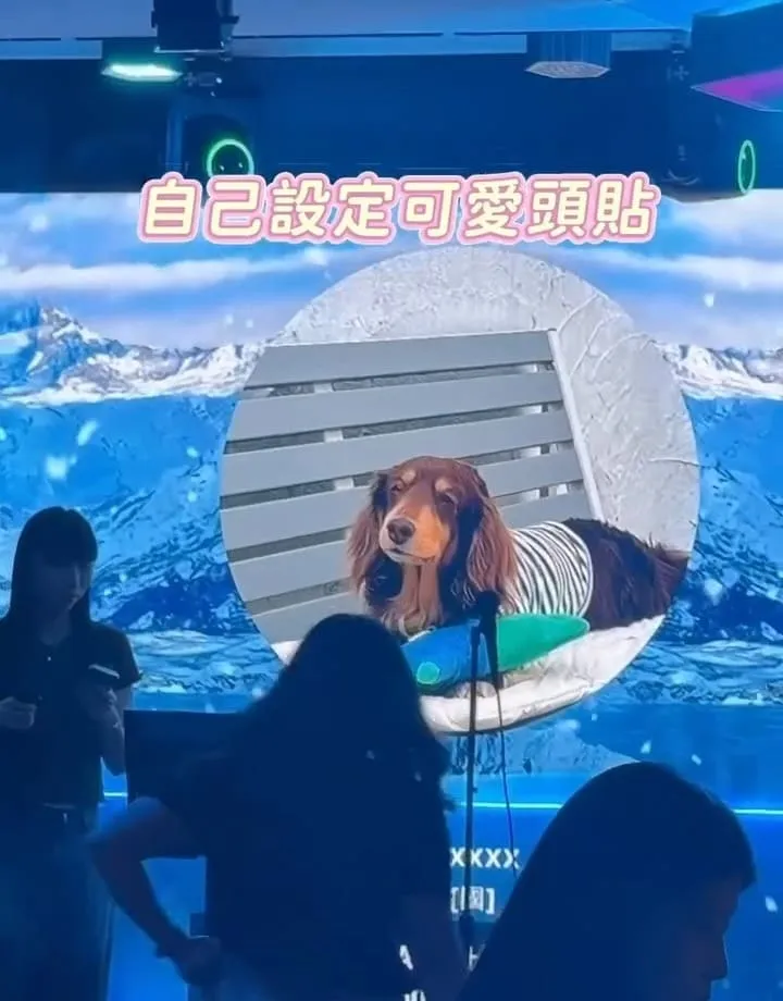 KARA KARA那夜桃園