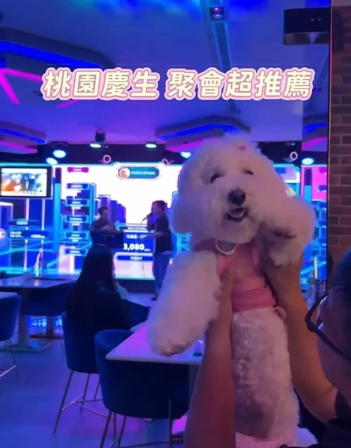 KARA KARA那夜桃園