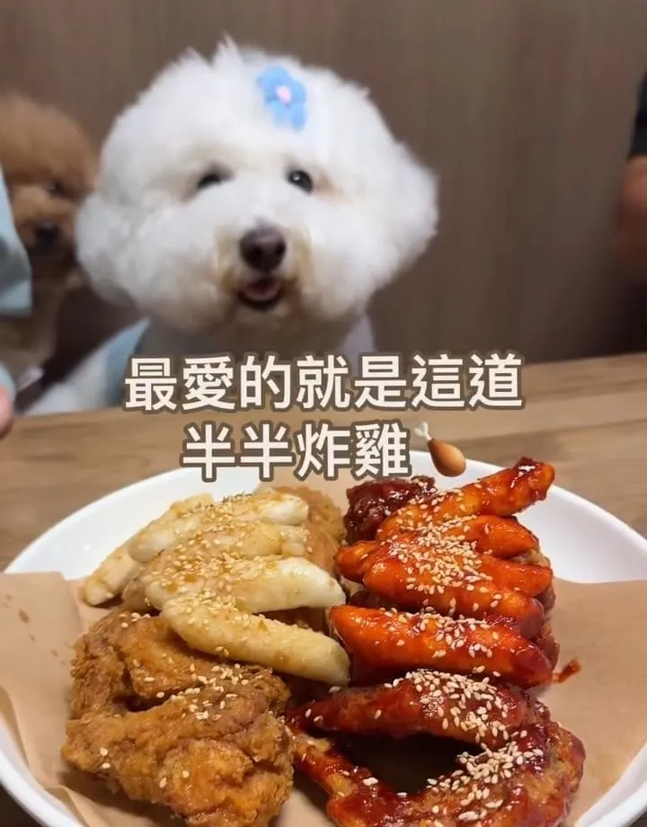 松島食堂桃園青埔店