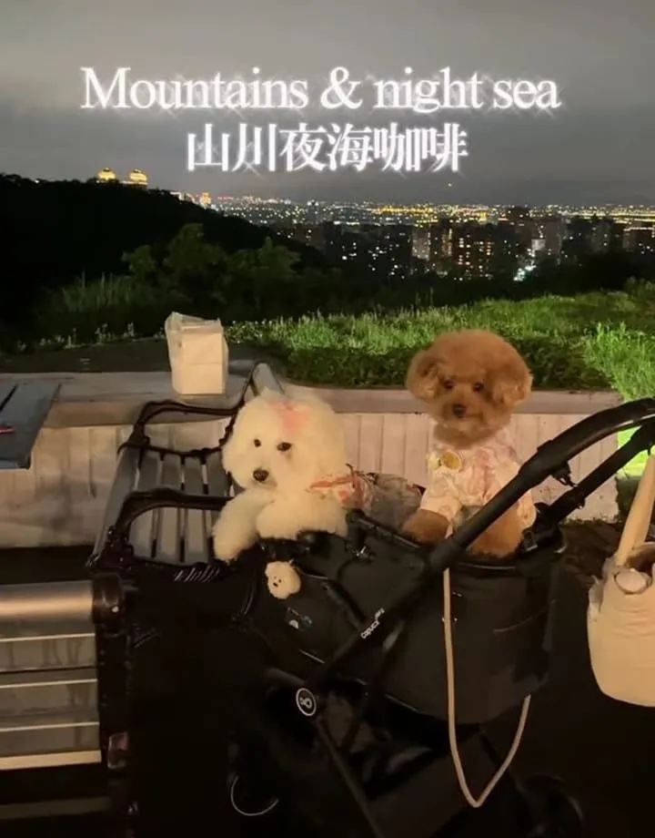 Mountains & night sea 山川夜海咖啡