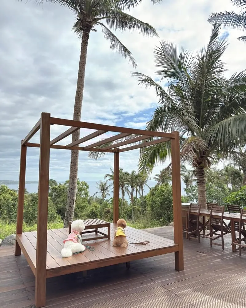 富杉晴 Rich Sunshine Inn