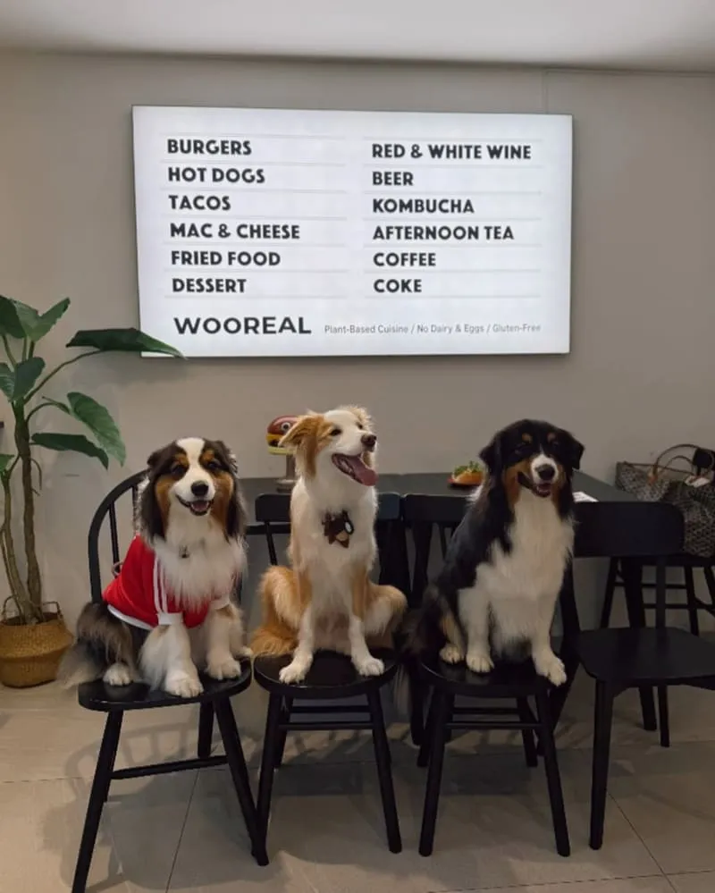 WOOREAL 純植美式餐廳