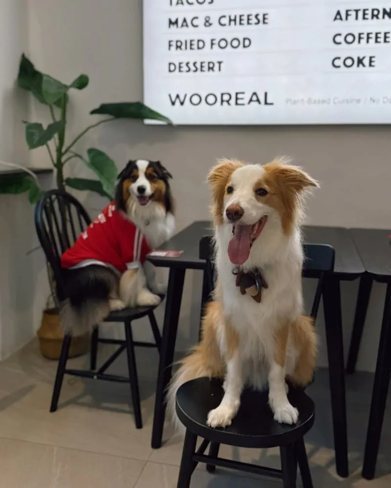 WOOREAL 純植美式餐廳