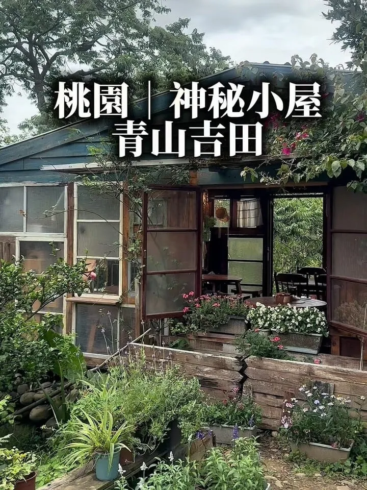 青山吉田|桃園橘子園秘境咖啡廳