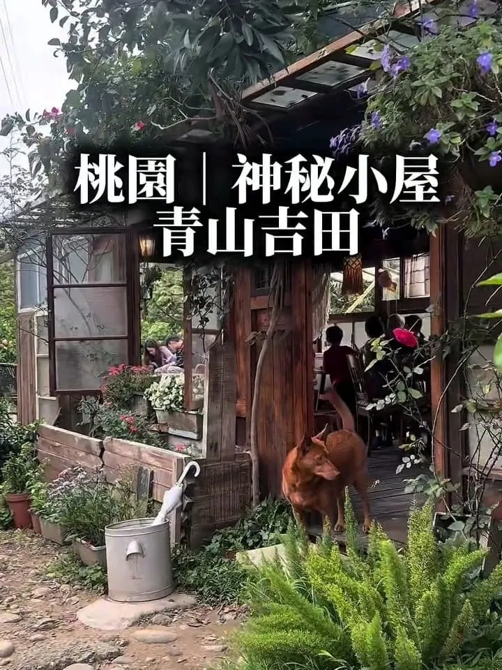 青山吉田|桃園橘子園秘境咖啡廳