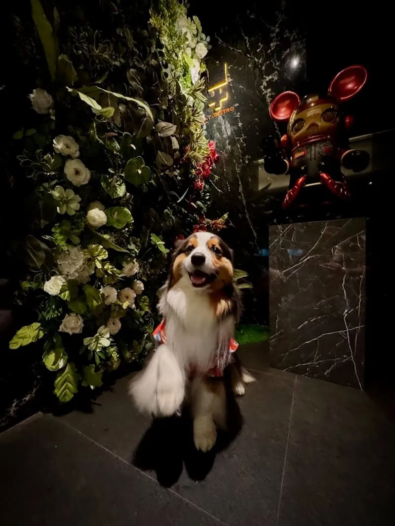 黑十餐酒館 Black Cross Bistro