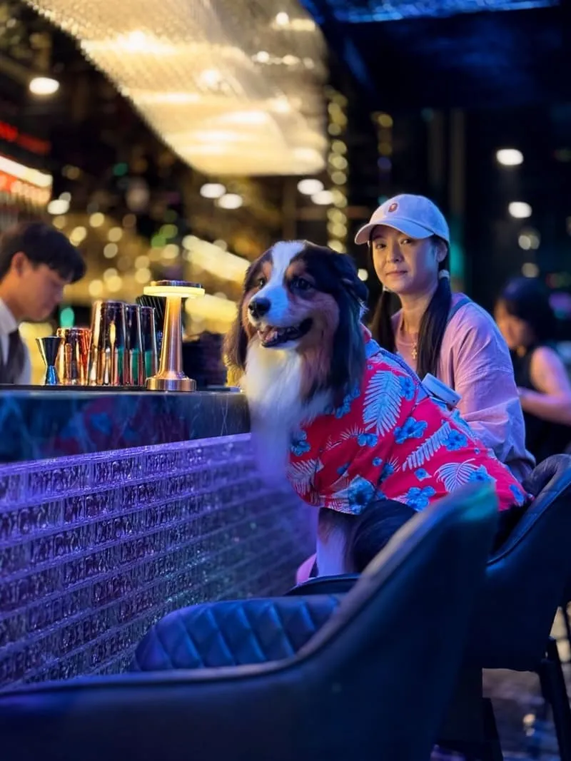 黑十餐酒館 Black Cross Bistro