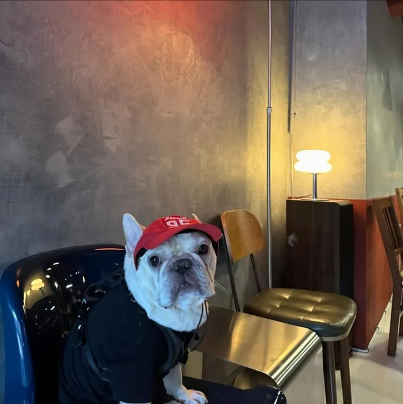 咖啡 梟 Brave Coffee Company