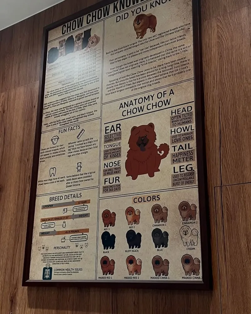 Coffee Industry-Café Sora