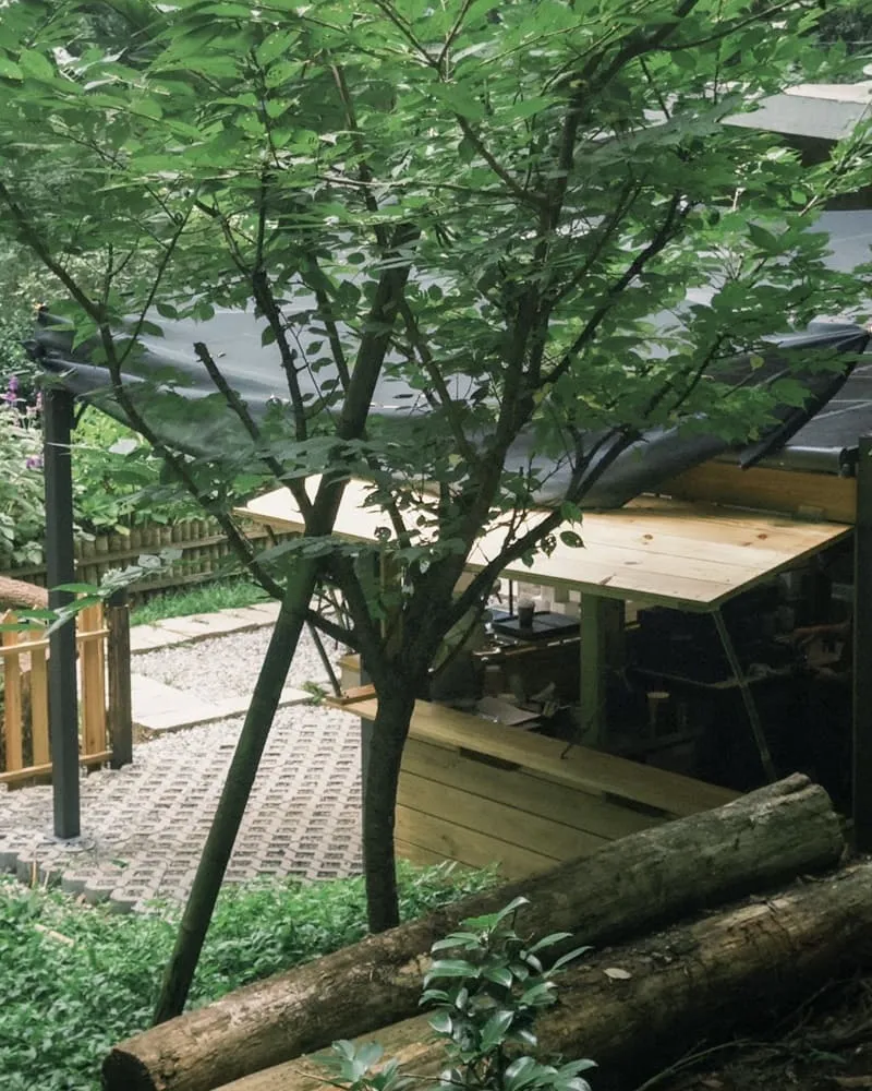 杉旅森林 Coffee Roaster