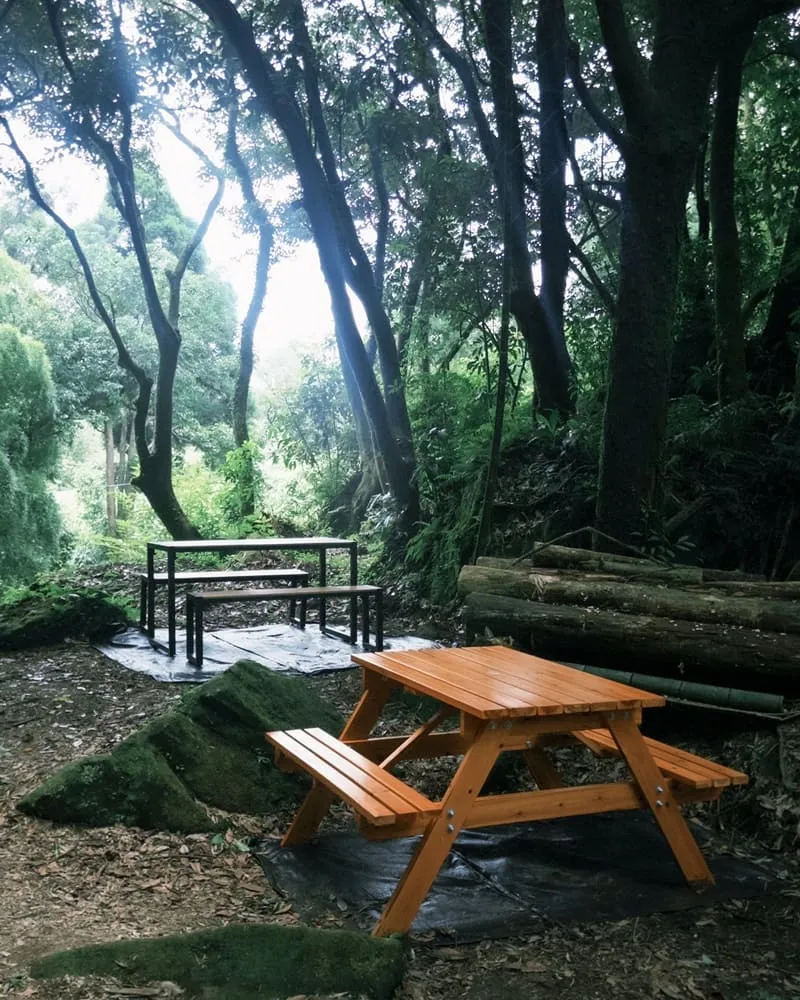杉旅森林 Coffee Roaster